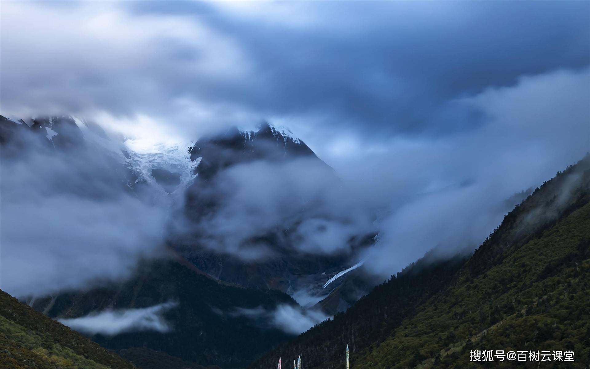 百树云课堂中华上下5000年所有的经典知识太齐全了值得收藏