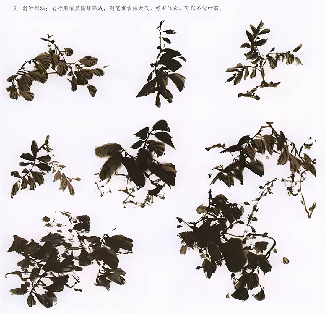 紫藤的绘画技法,赶紧收藏_手机搜狐网