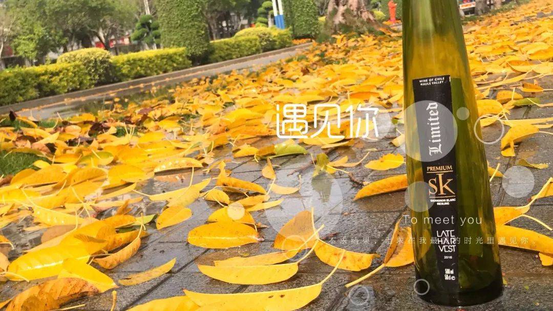 单宁是何方神圣?酒粉必看 _口感