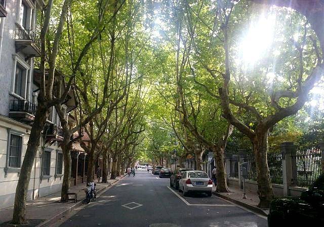 上海香山路时光流转不被遗忘的老宅和记忆邂逅并在此停留