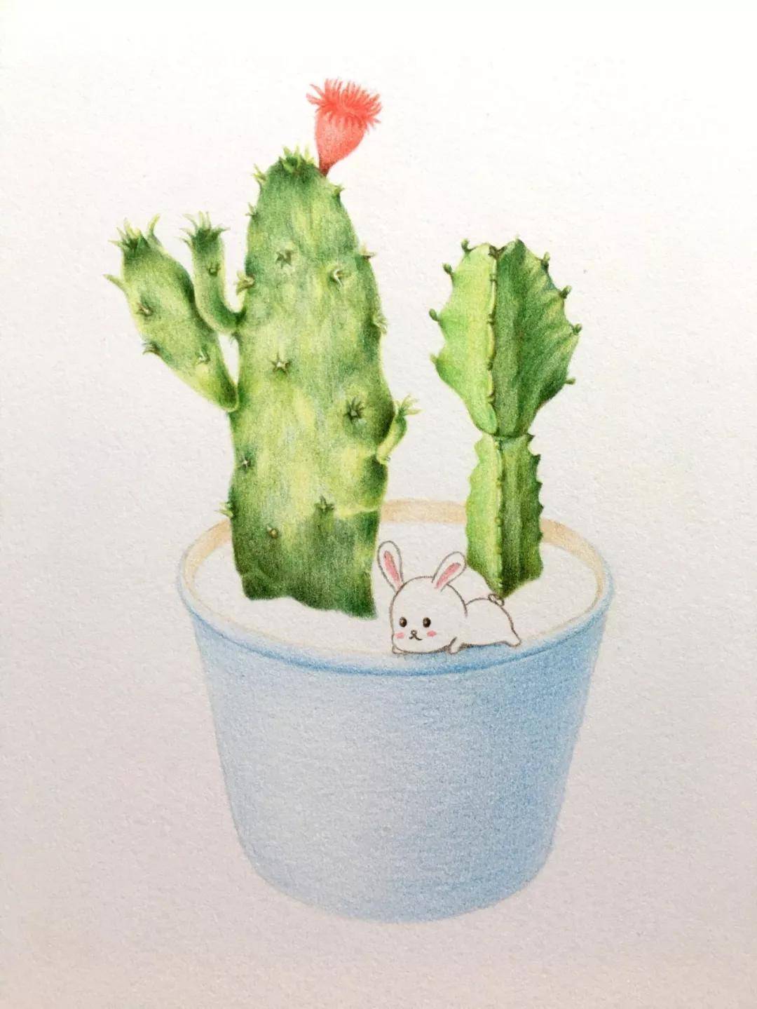 初学者彩铅画图片教程|100幅适合零基础的彩铅画(附彩铅全套视频教程)