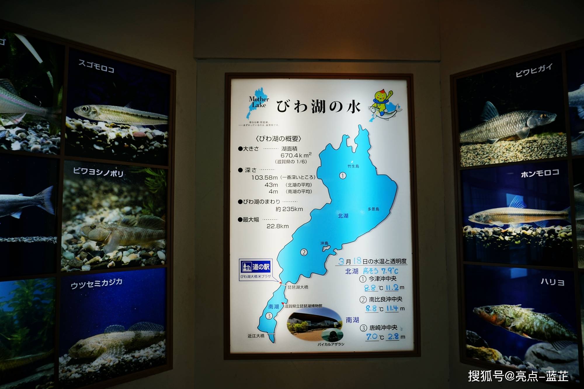 琵琶湖,世界第三,日本第一大湖,与富士山一起被日本人视为日本的象征