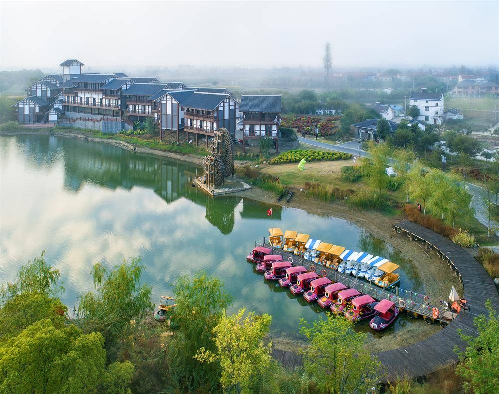 心灵四季 美丽中国 | 湖北孝感金卉庄园花展