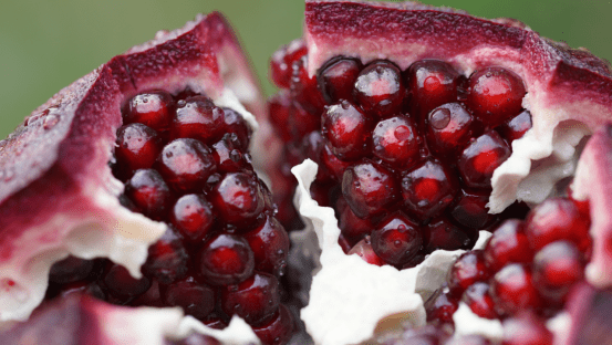 引进种植黑美人石榴宾川县走出特色致富路