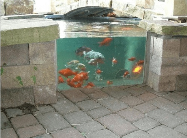 浴缸改鱼缸效果图图片