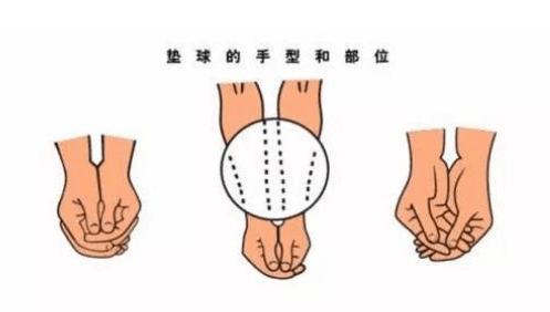排球垫球三种手型图片图片
