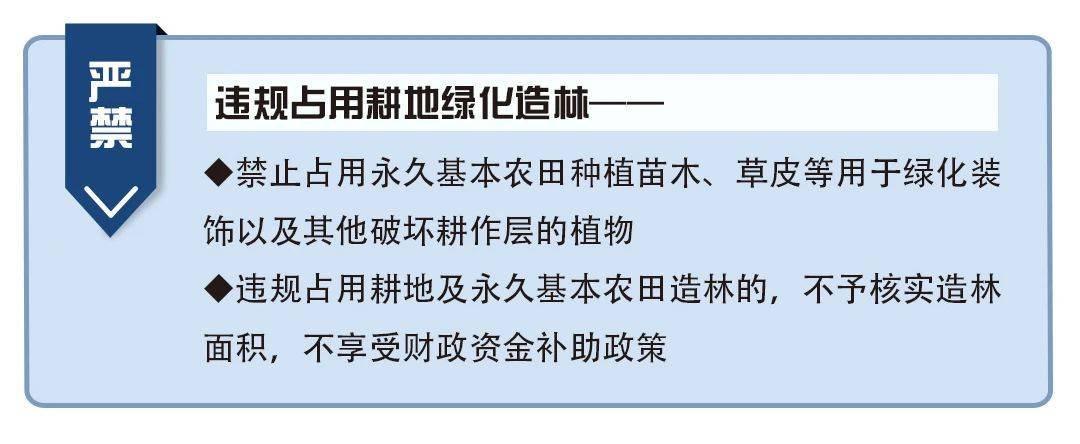 《关于坚决制止耕地"非农化"行为的通知,提出"六个严禁"的政策举措