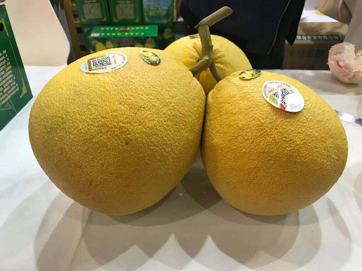 听说"赣鄱正品"在农博会上火了?我有个朋友说他想看看