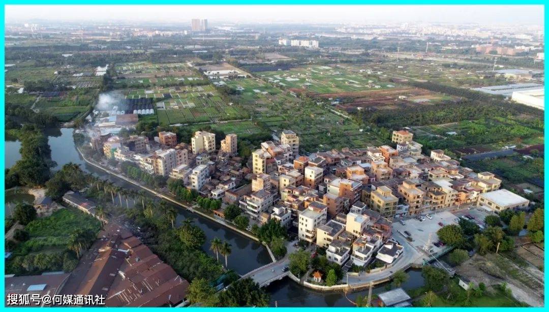 采风实录里水镇大洲67村广东省文化学会乡村振兴采风团