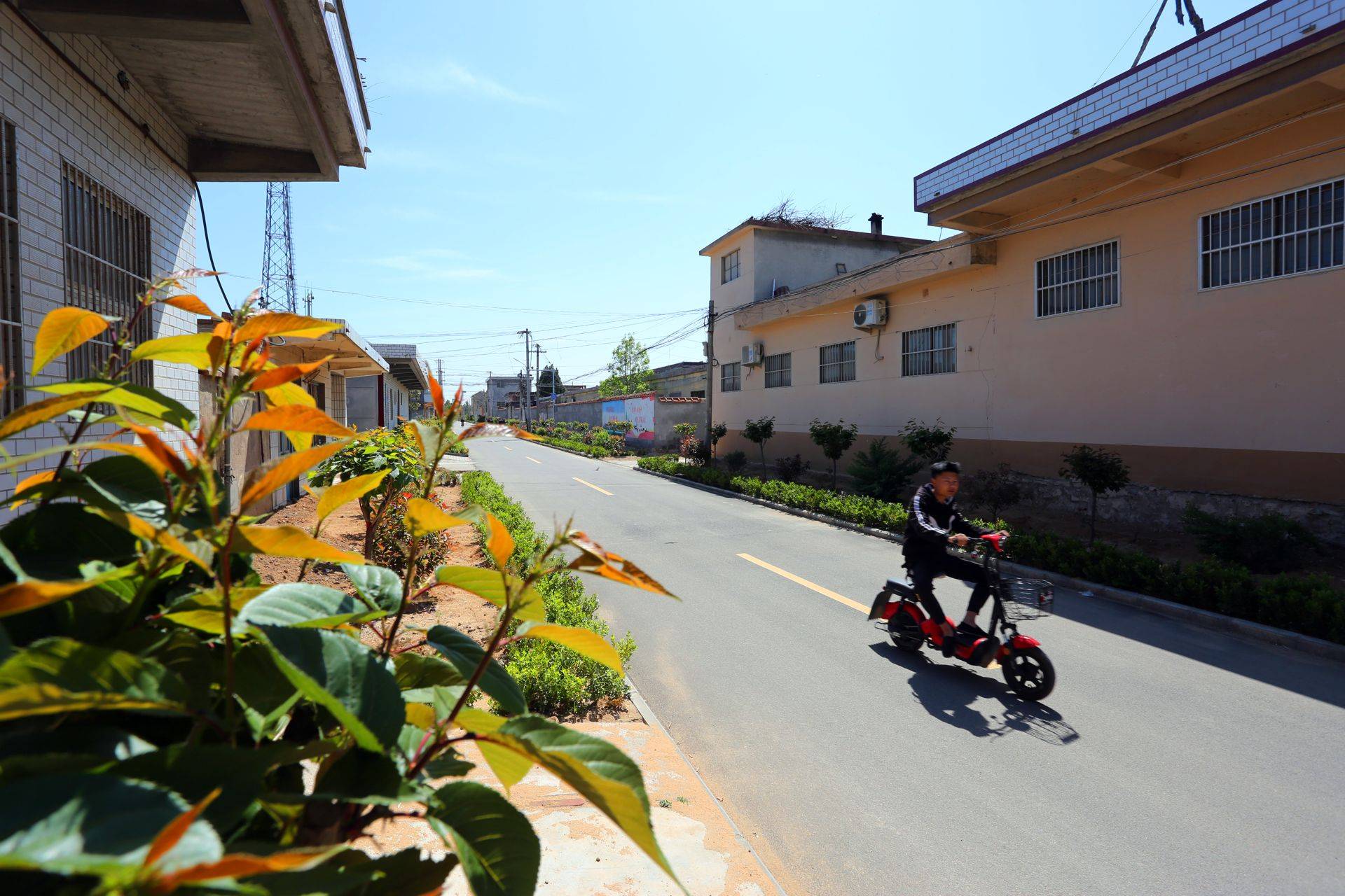 铺筑乡村振兴康庄大道!泰安2690个村完成农村道路"三通"工程建设