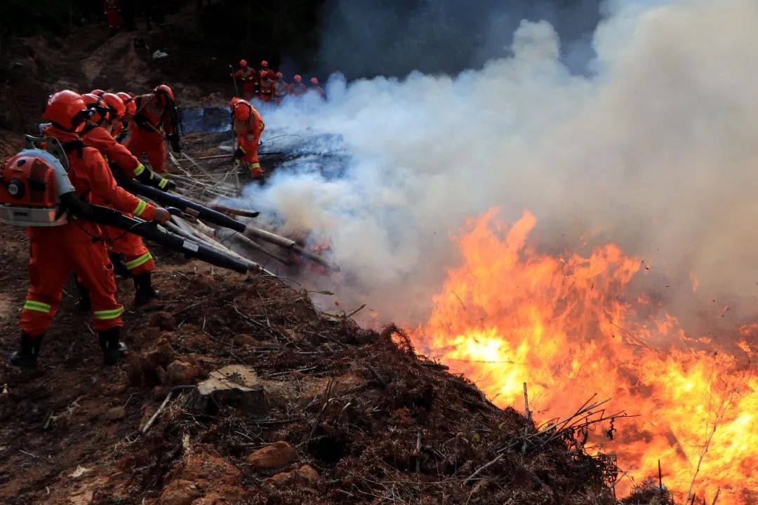 南平大队与地方部门防火灭火联勤联动体系的安全扑救森林火灾意识和