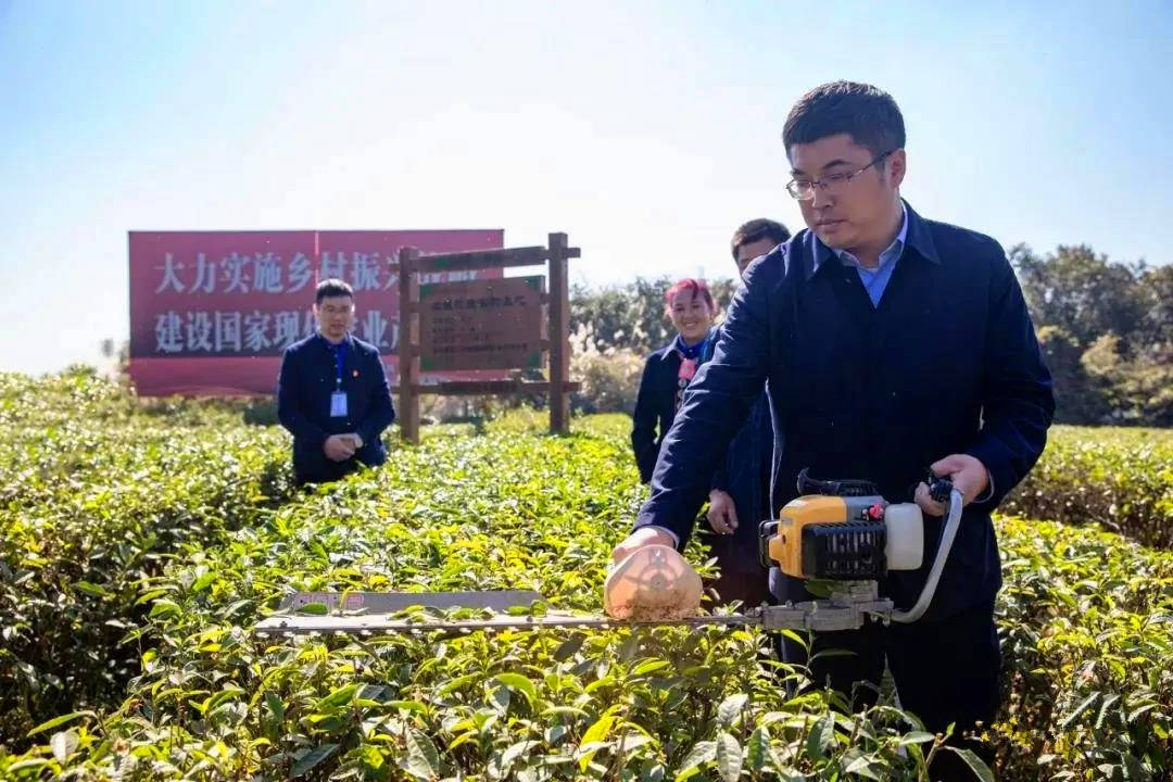 (安化县委副书记,县长肖义现场演示)