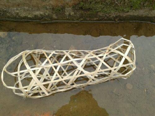 广东茂名一男子偷人被人浸猪笼:一个具有风险意识的老王大哥