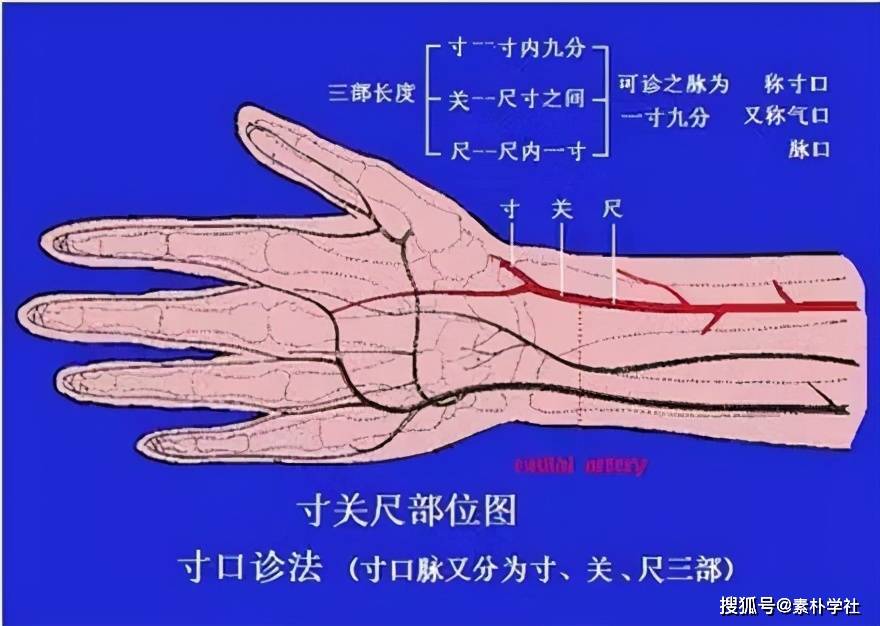 被遗忘的三部九候诊脉法