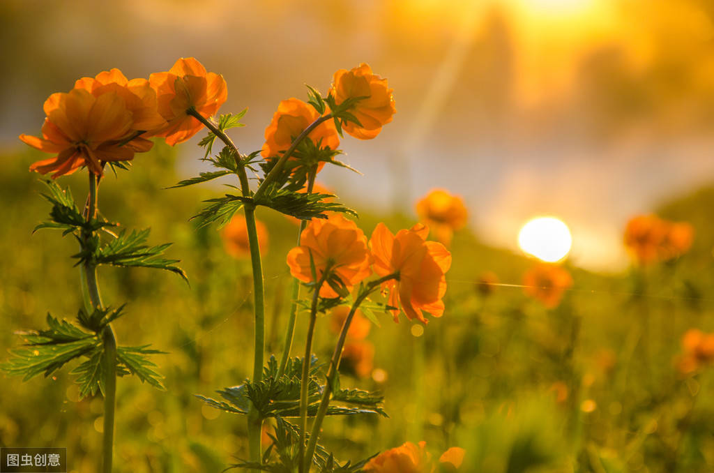 原创励志句子唯美走心积极阳光充满正能量太精辟了