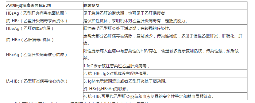 乙型肝炎病毒标志物易考点总结