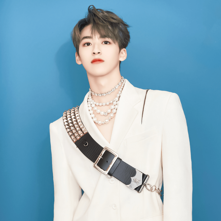 男星戴珍珠项链,王一博霸气,何洛洛精致,华晨宇很时尚!