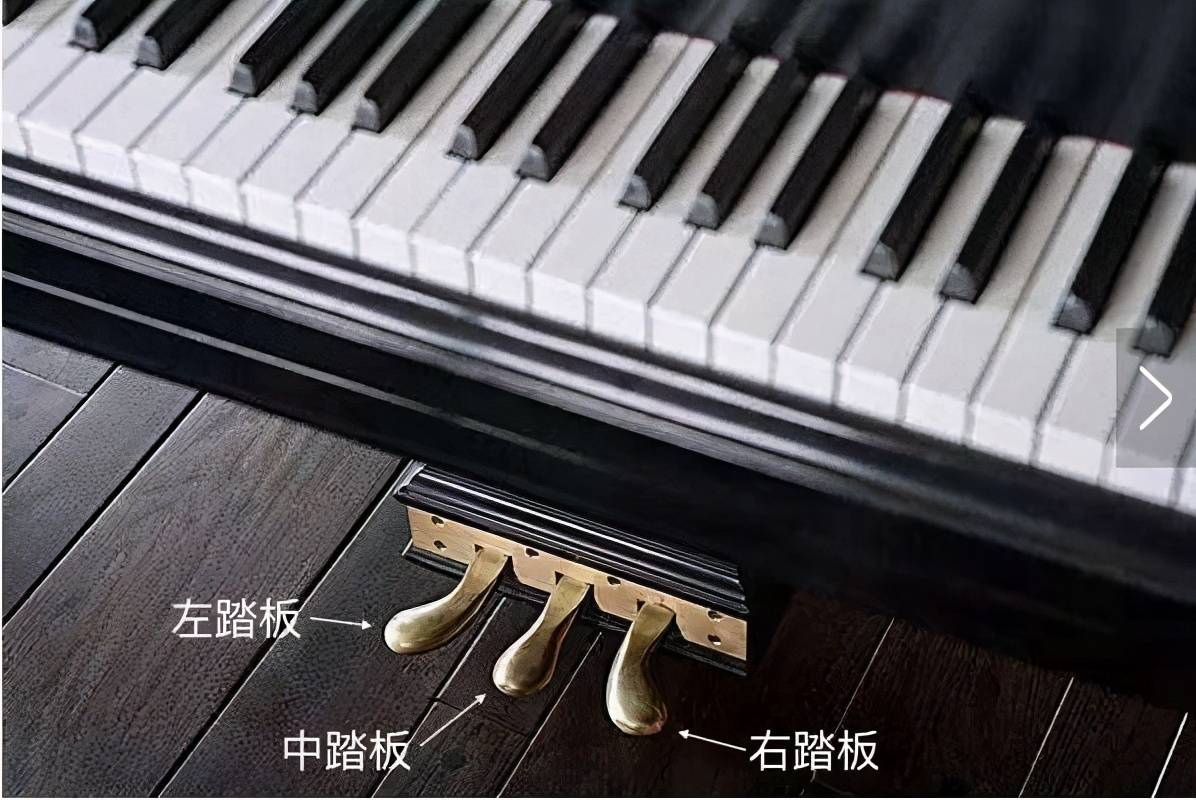 立式钢琴踏板结构图图片