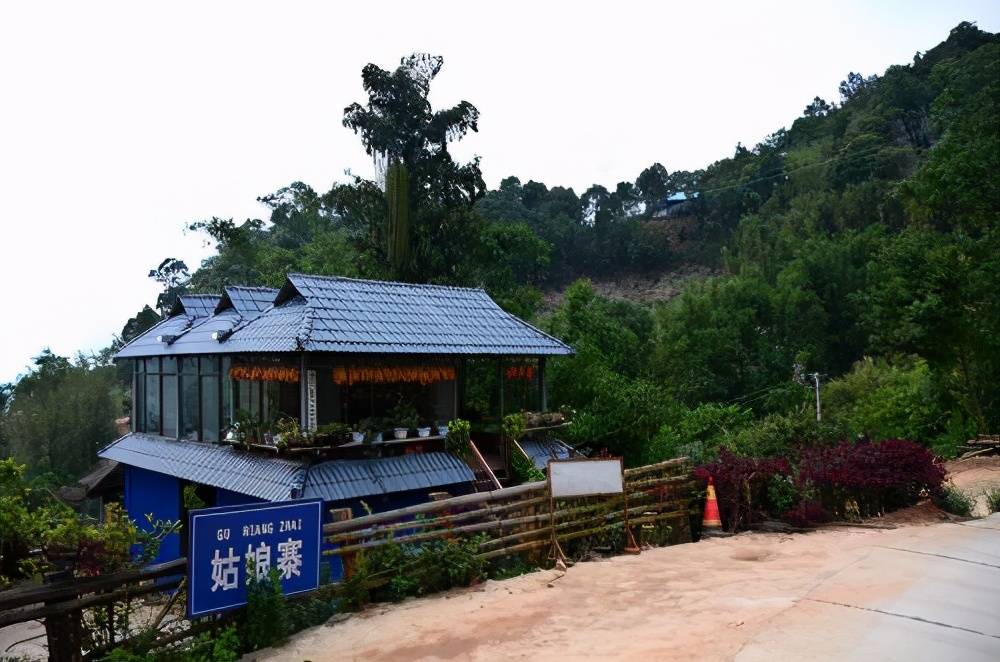 生茶张南糯山有几个著名的老寨古茶树资源最多的三个寨子普洱茶怎么样