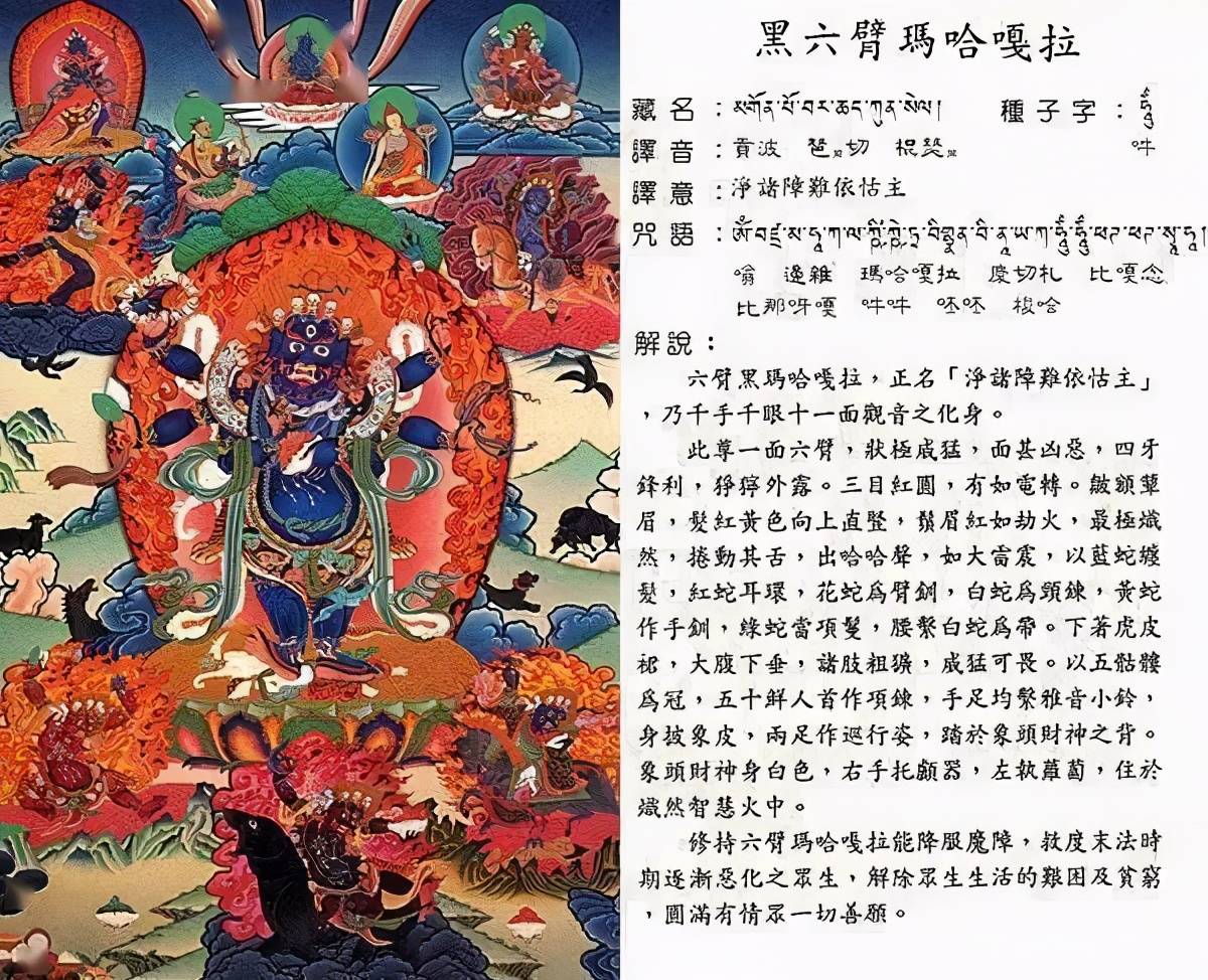 史上最全唐卡图解,快收藏了吧-第35张图片-趣盘玩