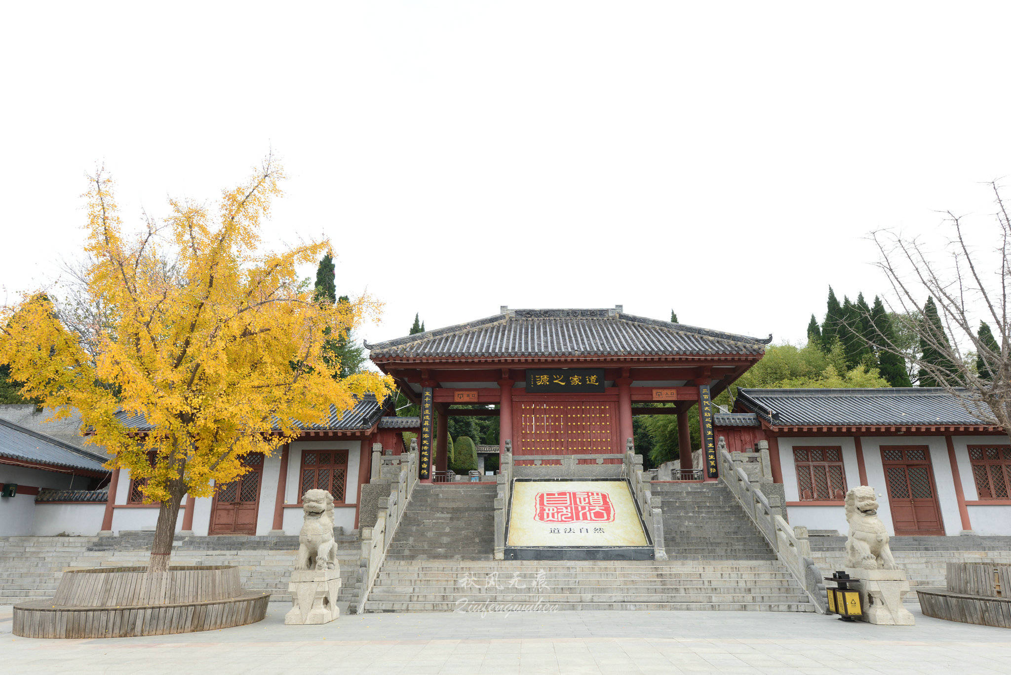 去老子著书《道德经》的太初殿的院落门口,金色的银杏叶后,道源之初的