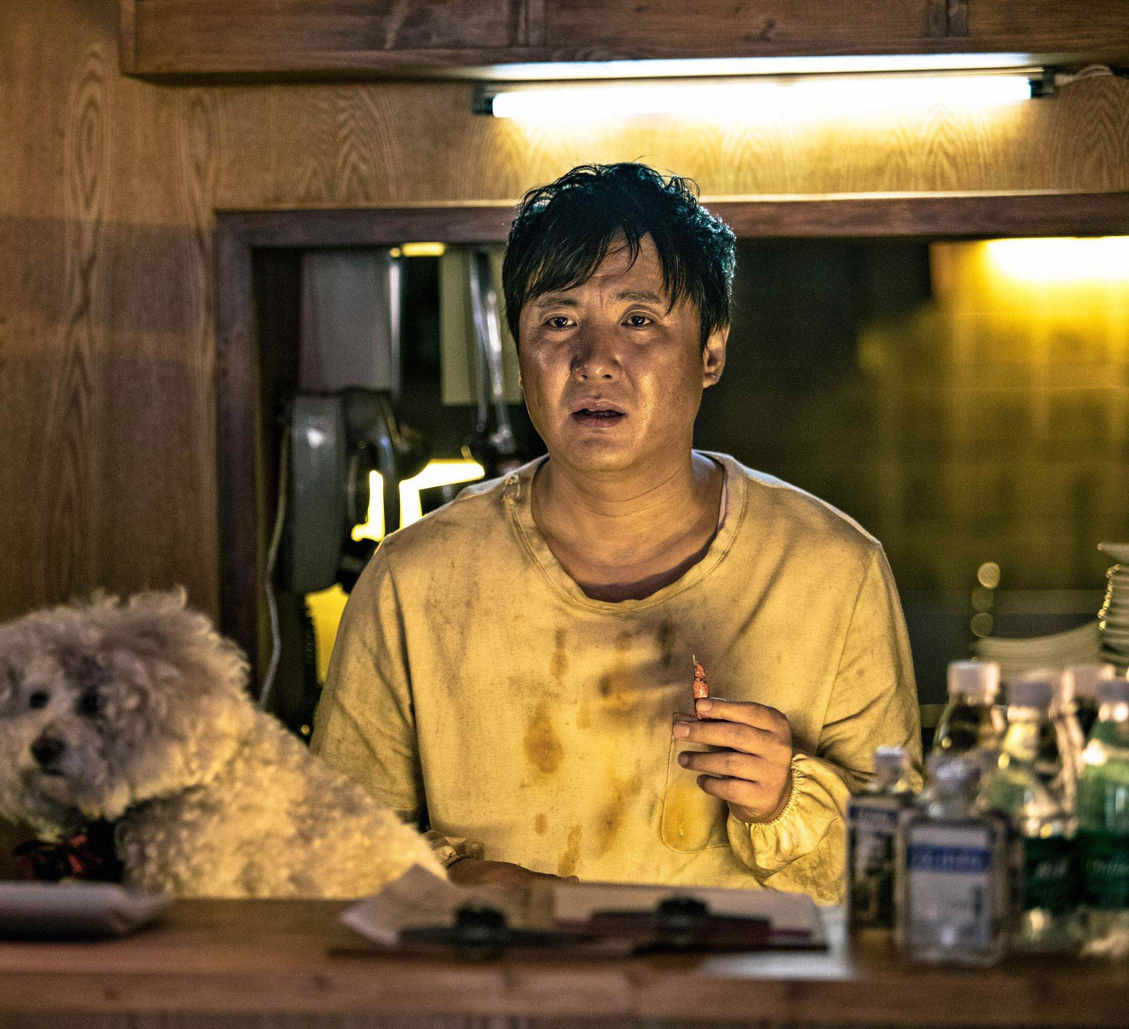 光天化日电影上映档期向您汇报