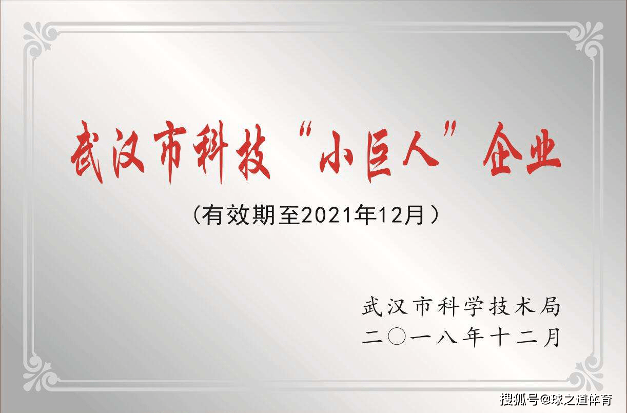 【企业荣誉】球之道入选2018年武汉市科技"小巨人"企业