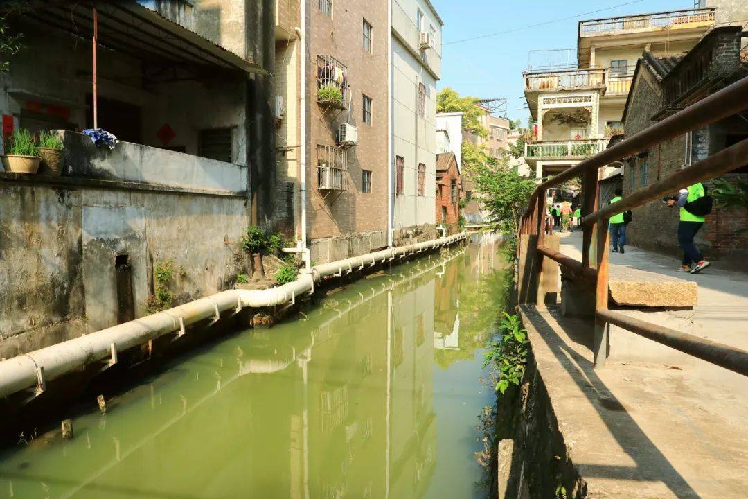 勒流江村以村改壮大集体经济为乡村振兴注入动能