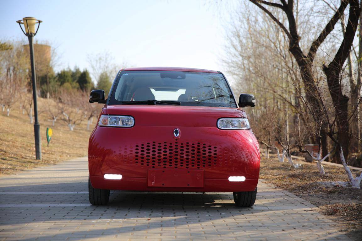 有颜有智的欧拉白猫成都市年轻人新宠