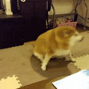 原创搞笑gif段子如果我说这是在广州你是否会相信呢