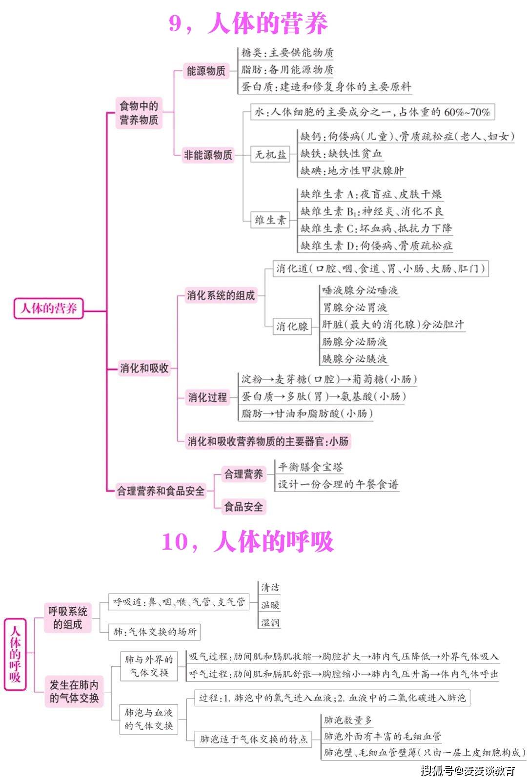 生物七年級生物13個知識點思維導圖上下冊13張圖全掌握