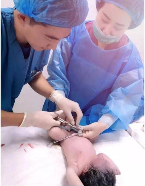 小十一刚被剪下的脐带伤口还渗着血.