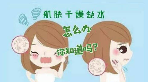 美容护肤秋冬季节皮肤干燥起皮做好这几点和皮肤干燥说拜拜