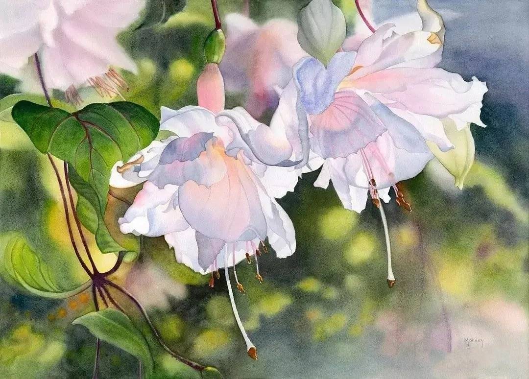 围观神仙画画看看大师是如何画水彩花卉