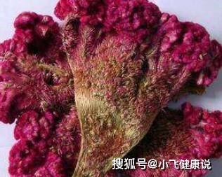 此花是天然的婦科良藥活血調經治陰道炎和宮頸糜爛女人必備