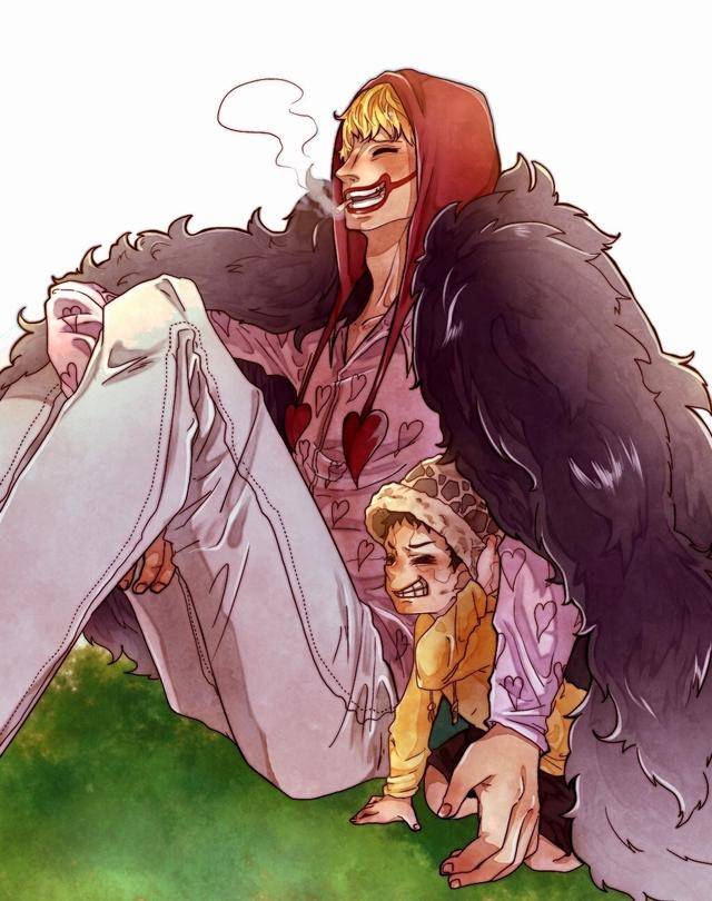 海贼王壁纸分享罗和柯拉松被关鸟笼在无情的现实下相互依偎