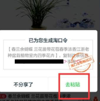 淘口令解析异常是怎么回事（淘口令解析有什么用）