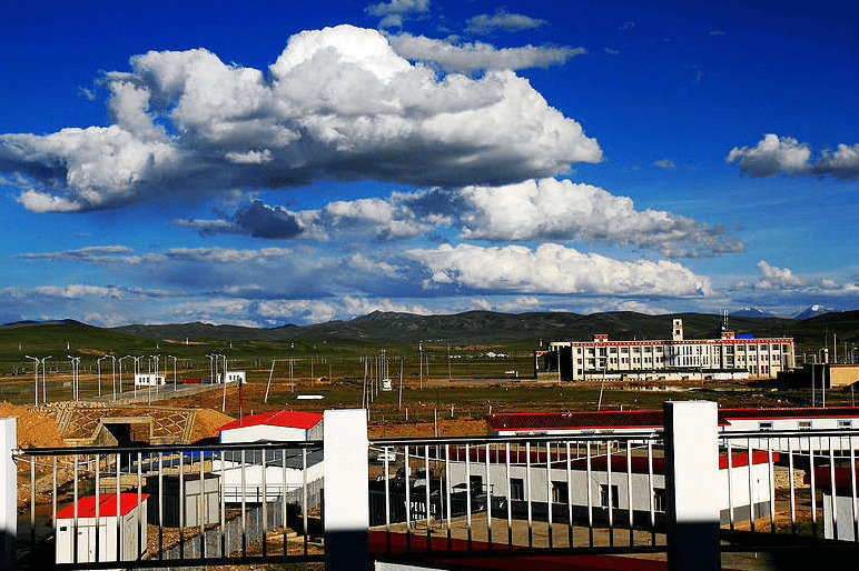 没有树的城市那曲县种活一棵树奖金30万至今没人拿到这份钱