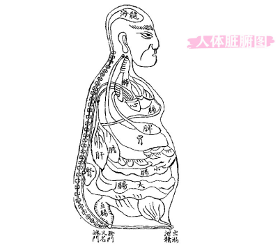 中医肠胃中医治疗肠胃炎重视心脾是关键