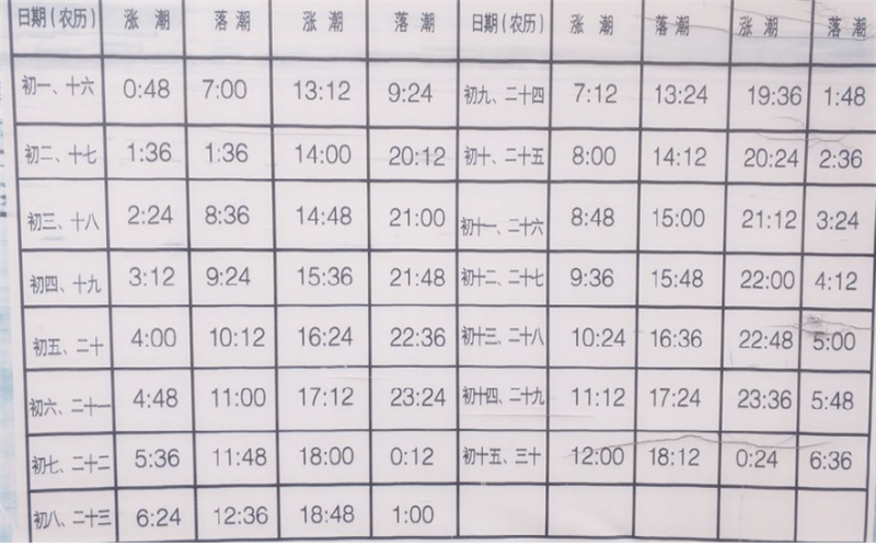 日照免费赶海园有哪些,潮汐表需要看,孩子喜欢这个活动