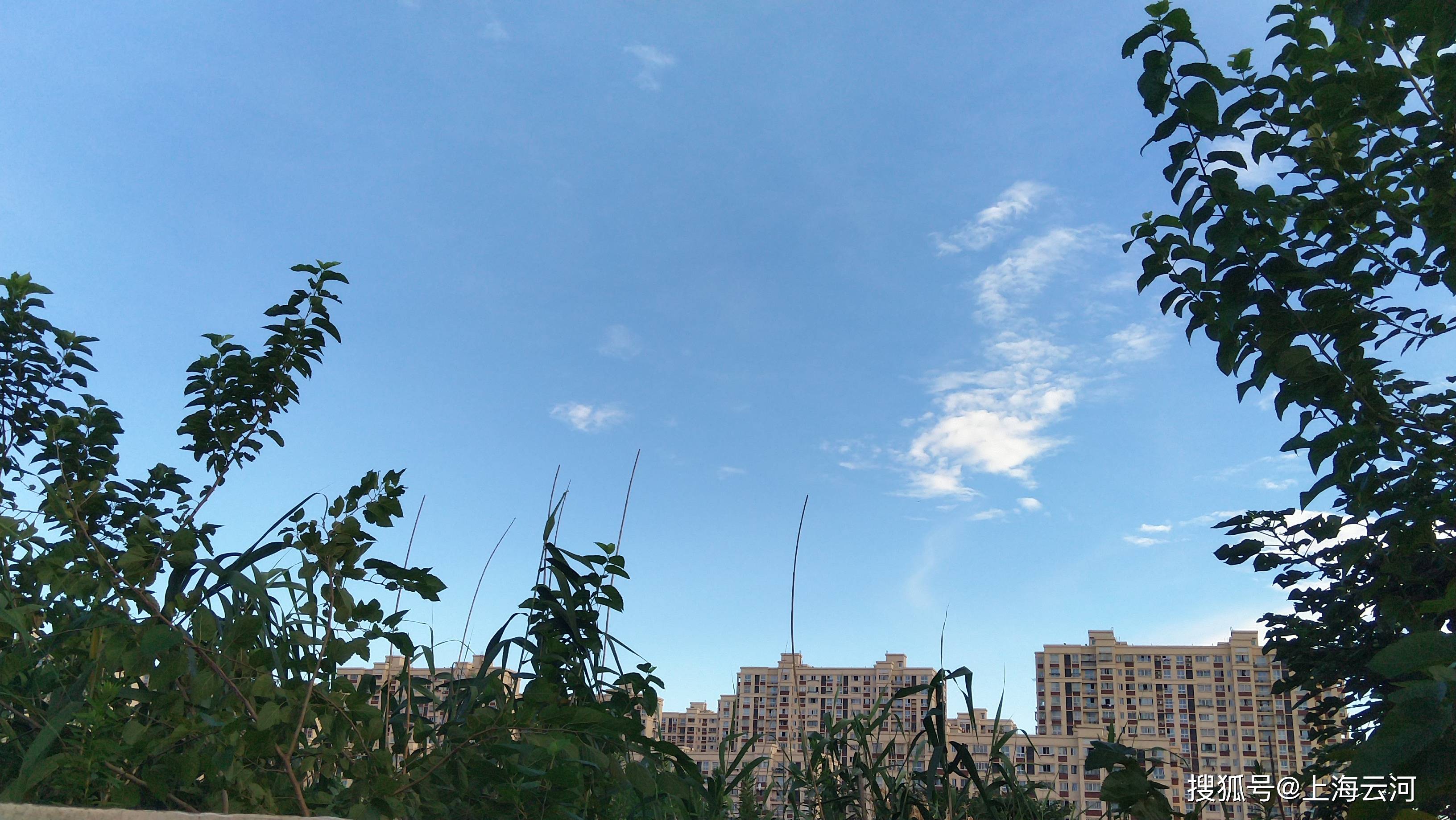 蓝天白云,风轻云淡(3)