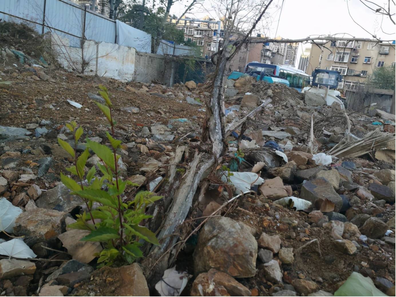 烟台城中村实探(二):"消失"的白石村