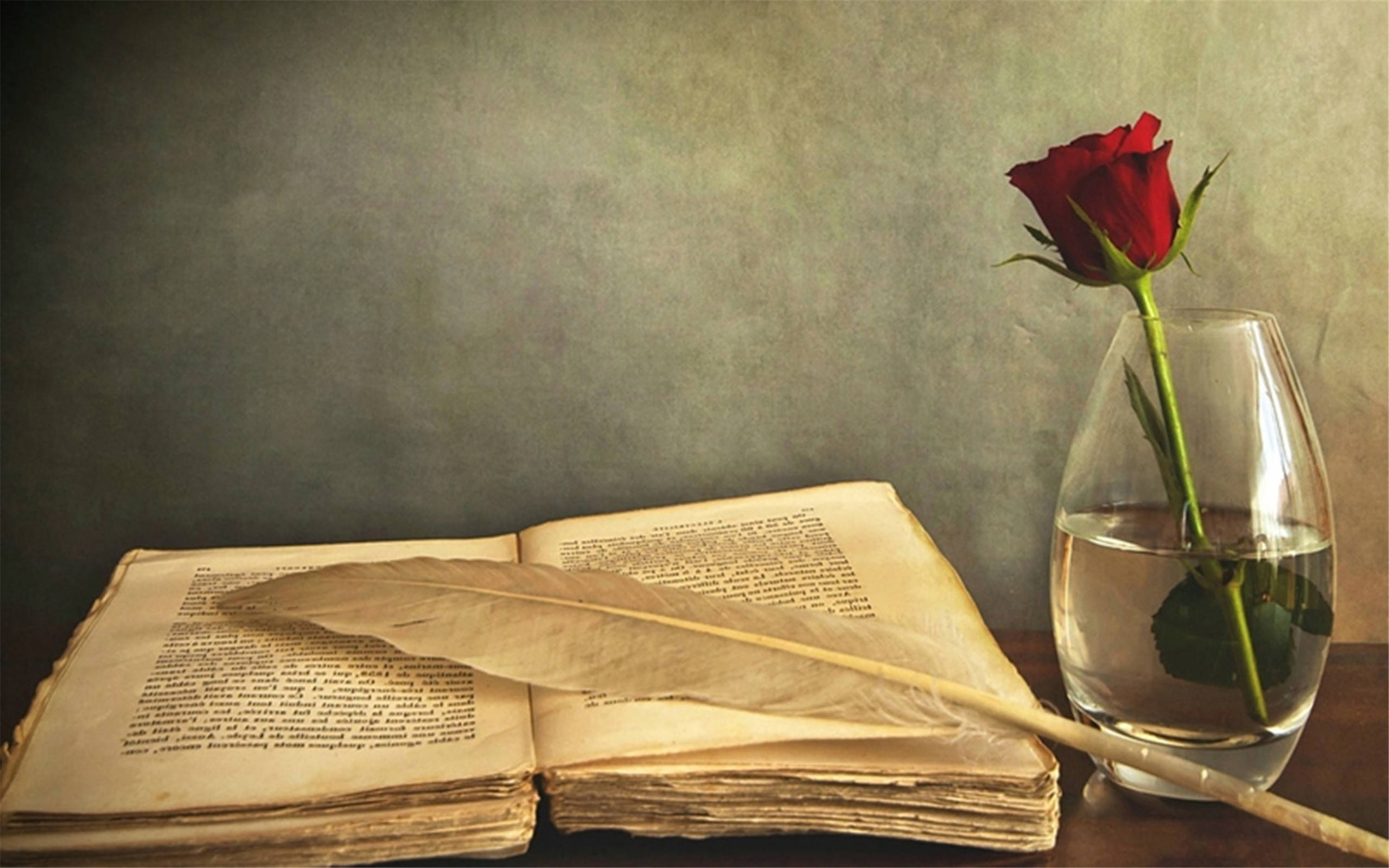 报名深圳自考本科一定要有深圳户口吗