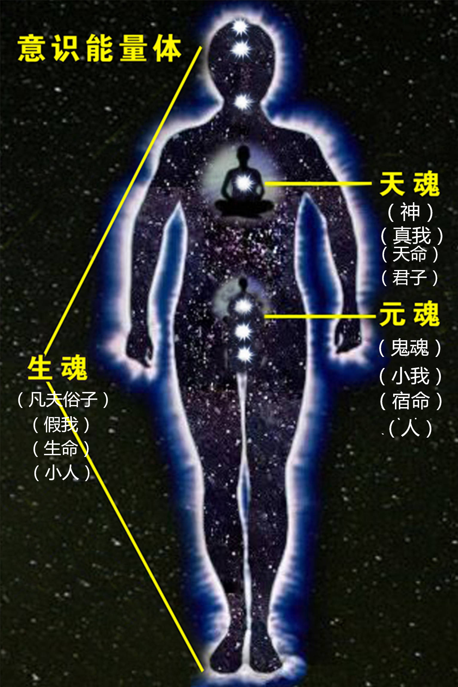 认识真正的人类