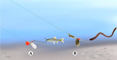 市场上有很多相似设计,有a款圆头铅头钩,b款流线型米诺头铅头钩,带有
