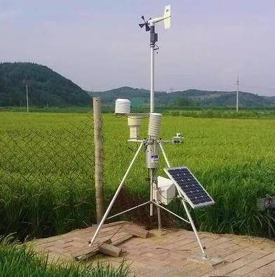 5种物联网技术应用让农业变得简单省力_作物