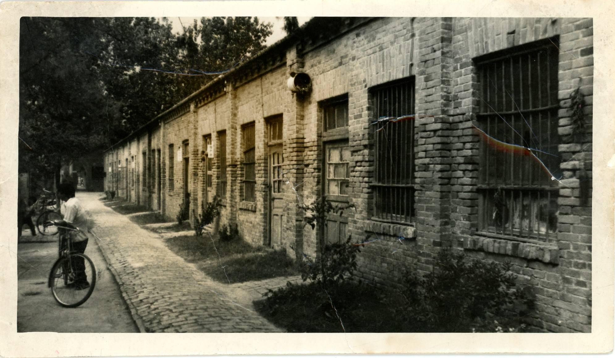 学校上世纪50年代办公用房及教室今天的菏医,春天牡丹满园学校建校于