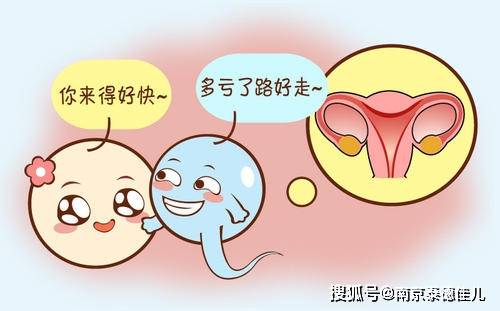 做供卵试管婴儿还会失败医生这个问题是最大的根源