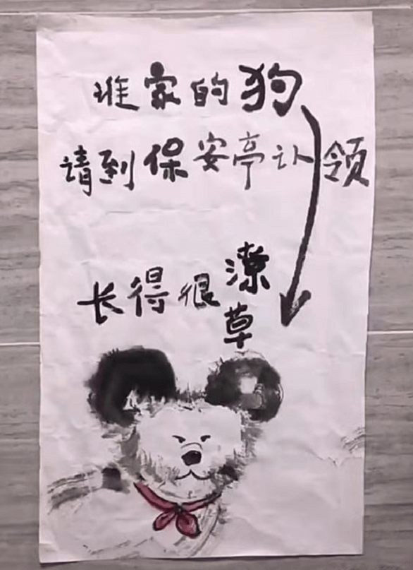寻狗启事被指"鬼画符",是恶作剧,见到狗后大家为画点赞_手机搜狐网