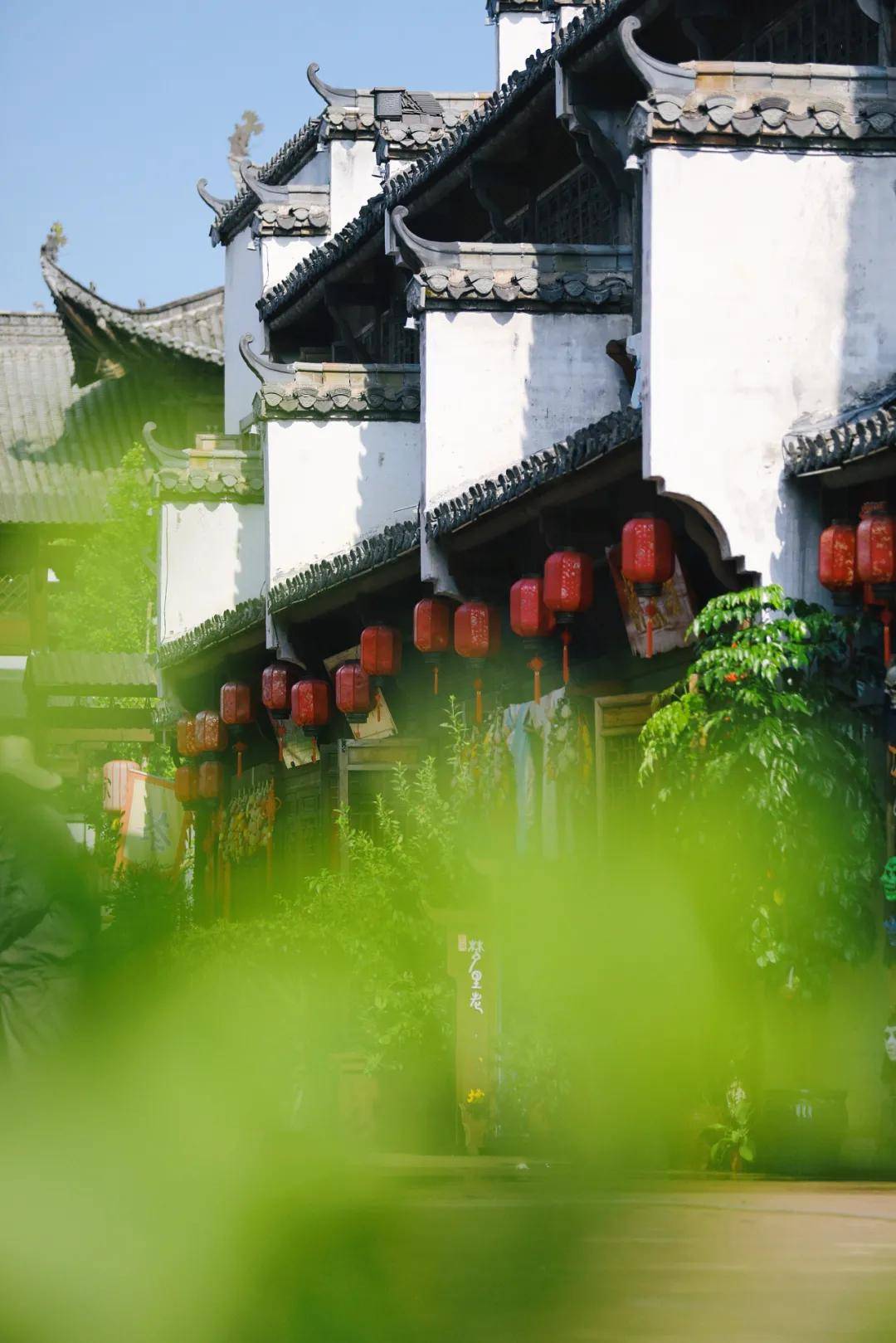 梦里老家可能不是所有人来婺源的首选 但来过的人总会不由自主的怀念